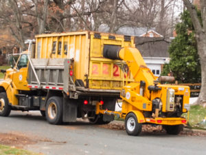 Leaf Collection Schedule 2025